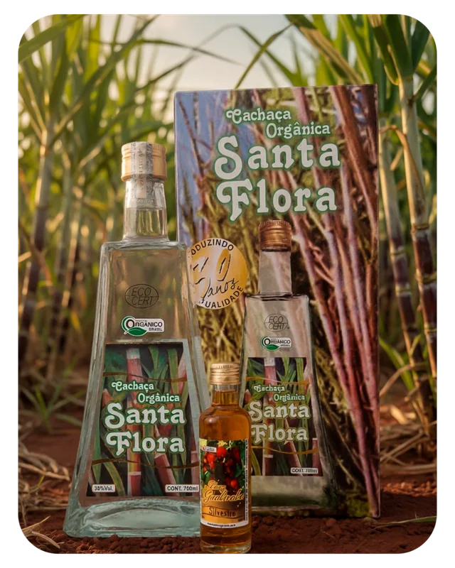 Kit Santa Flora com estojo para presente